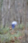 DSC_1022_01.JPG