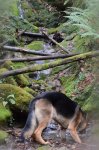 DSC_1026.JPG