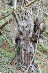 DSC_1025.JPG