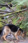 DSC_1027.JPG