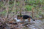 DSC_1028.JPG