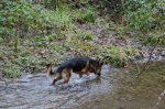 DSC_1029.JPG