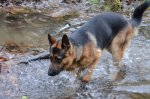 DSC_1030.JPG