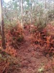 IMG-20130112-WA0003.jpg