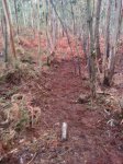 IMG-20130112-WA0005.jpg