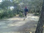 120120135737_1024x768.jpg