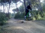 120120135724_1024x768.jpg