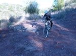 P1060784_800x600.jpg