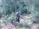 P1060791_800x600.jpg