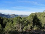 IMG_3584 (Copiar).JPG