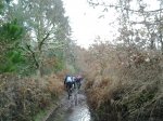 2013-01-12 11.35.33.jpg
