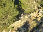 IMG_0034.JPG