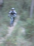 IMG_0046.JPG