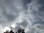 IMG_0111.JPG