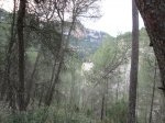 IMG_0124.JPG
