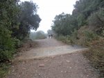 DSC02483.JPG
