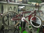 IMG-20130110-WA0003.jpg
