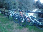 2013-01-13 10.15.13.jpg