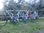 2013-01-13 10.14.55.jpg