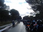 DSC03895_800x600.jpg