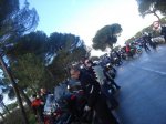 DSC03898_800x600.jpg