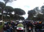 DSC03915_800x600.jpg