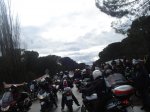 DSC03919_800x600.jpg