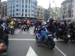 DSC03987_800x600.jpg