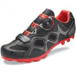 06ShoeSWorksMtn_d.jpg