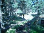 P0000047_redimensionar.JPG