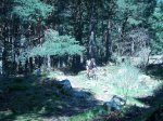 P0000049_redimensionar.JPG