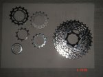 DSC03539.JPG