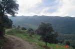 Imagen 018.jpg