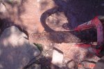 Imagen 059.jpg