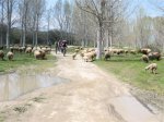 IMG_0140.JPG