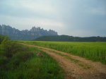 DSCN2367.JPG