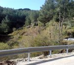 DSC00005.JPG