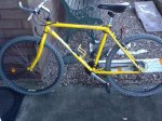 GIANT FRAME YELLOW.JPG