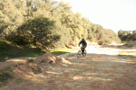 Salto-Pardo-foro.gif