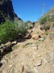 20130113_115026.jpg