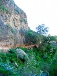 DSCN4229.jpg