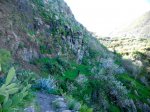 DSCN4235.jpg
