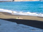 IMG_6401.jpg