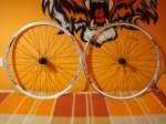 DSC01992.JPG