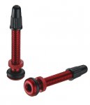 tubeless valve.JPG