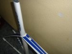 Cuadro Giant 011.jpg