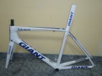 Cuadro Giant 015.jpg