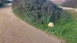 Flecha Corredor.JPG