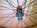 Alcoy-20130108-00179.jpg