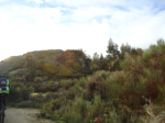 DSC01055.png
